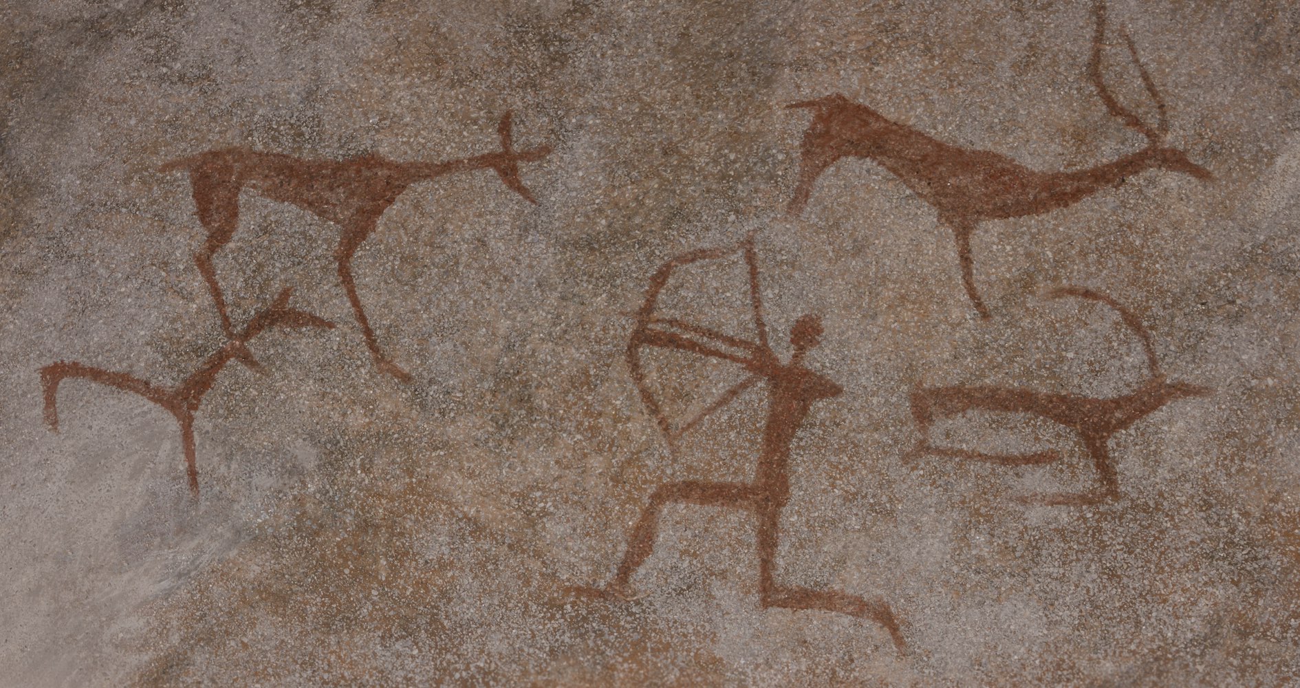 iIndustrial_visualisation_1@2x